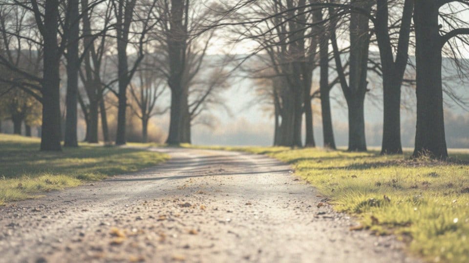 Jak poprawić swoją kondycję biegową, aby wspierać odchudzanie?
