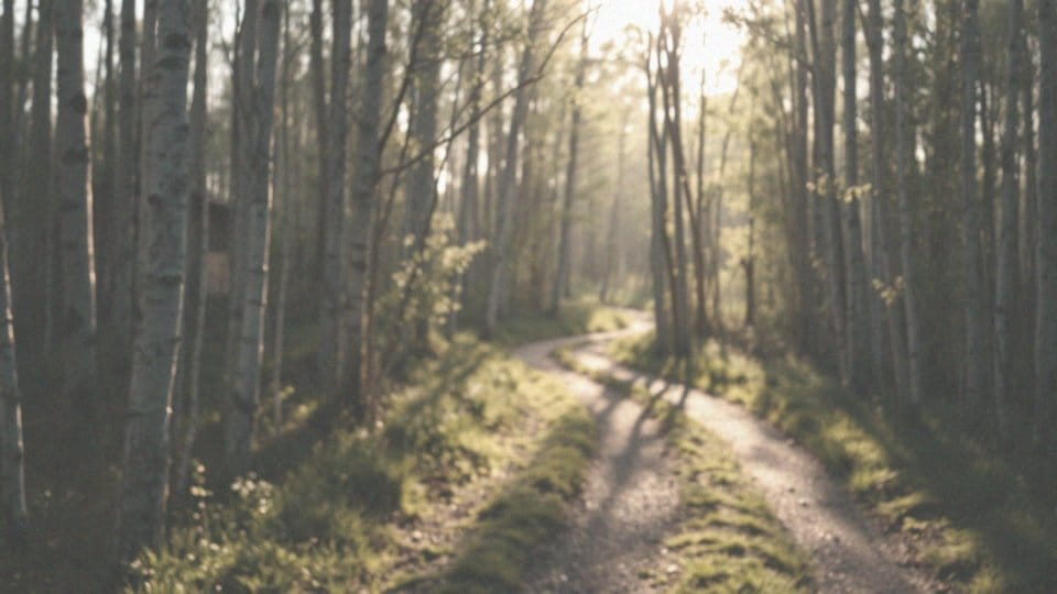 Jak być odważnym i pewnym siebie? Praktyczne techniki rozwoju