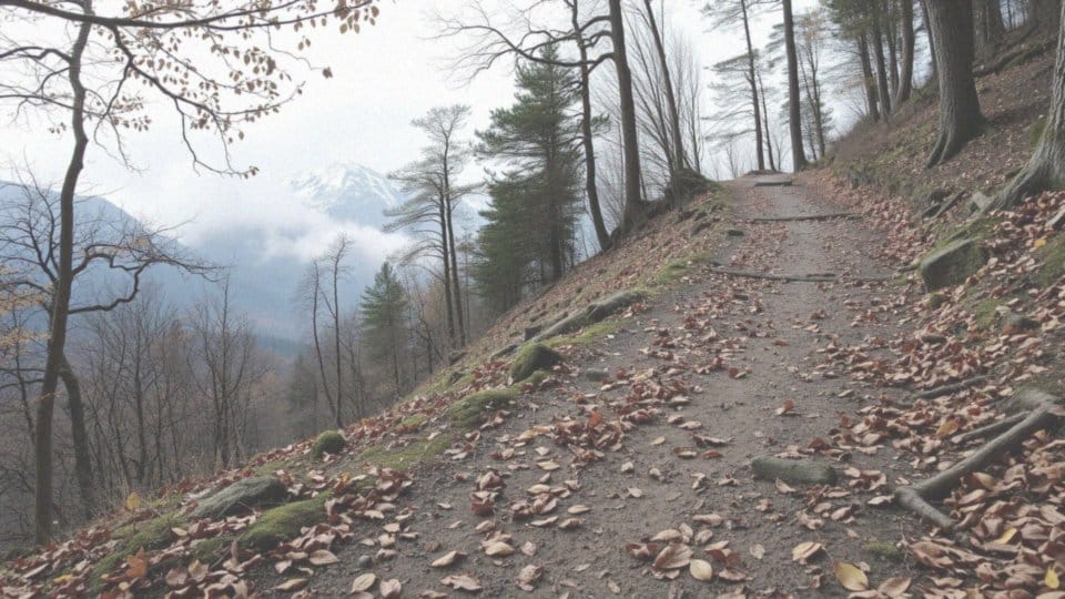 Jaki sport spala najwięcej kalorii? Poradnik dla aktywnych