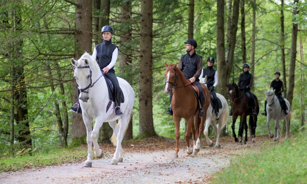 Jazda Konna Ostrów Wielkopolski